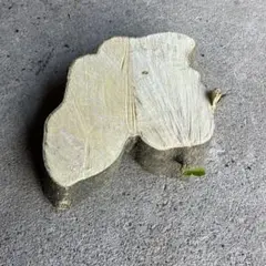 Item thumbnail for item ebe97b25-6691-4e59-aaac-401901da6400