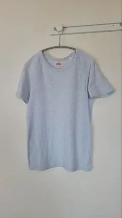 HRM 半袖ラグランTシャツ　グレー　M