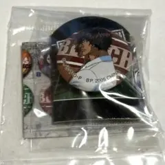 ⭐︎レア⭐︎BLEACH カンバッジ　スタンドコレクション　茶渡泰虎