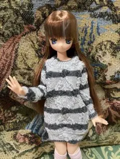 アゾン えっくすきゅーと あいか DS限定品 ⚠️説明必読‼️