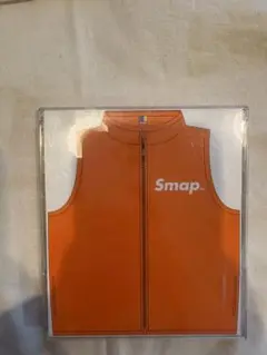 Smap Vest オレンジ CD