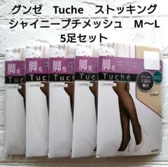 グンゼ　トゥシェ　Tuche ストッキング シャイニープチメッシュ　М〜L