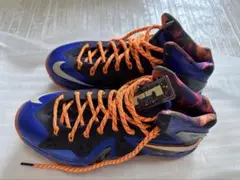 Item thumbnail for item 531e80a8-f2b6-4508-b8bf-e22679998d44