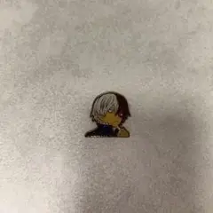 轟焦凍　ピンズ