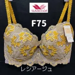 ワコール　ウング　レシアージュ　ブラジャー　F75