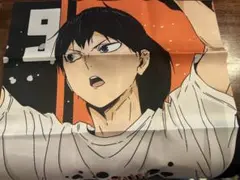 ハイキュー　選手ポスター　影山