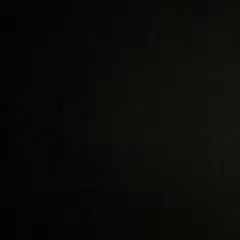 専用