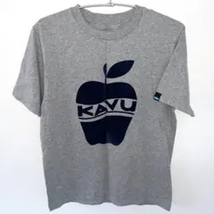 【ほぼ新品】KAVU Apple Tee