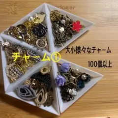 大量処分価格！チャーム①