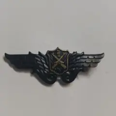 保安隊　射撃表彰記章 勲章　徽章　箱付き　希少品 当時物 旧日本軍 陸軍 小銃射撃徽章 徽章2点セット(勲章