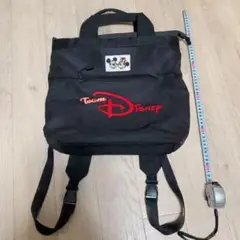 ディズニーランド　 チームディズニー　リュックサック