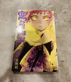 新品 ディーグレイマン 27巻 Dグレ 漫画 D灰 D-Gray-man 星野桂