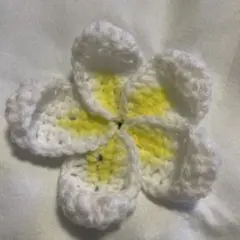 プルメリア編み物
