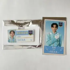 ICEx 竹野世梛　エビライ　グッズ