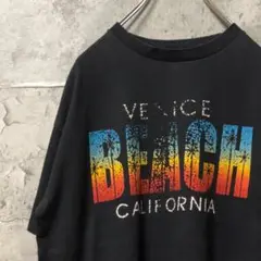 VENICE BEACH ヤシの木 割れプリント Tシャツ