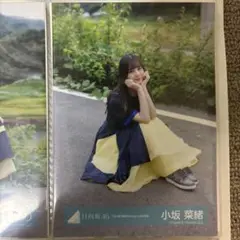 小坂菜緒　生写真　月と星が踊るMidnight 座り