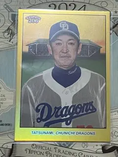 topps 206 立浪和義　50枚限定　カード　中日ドラゴンズ