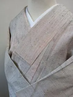 夏紬着物 節紬 ベージュ系 紗の織り模様 H15