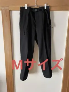 Item thumbnail for item 8bf903a9-d125-4079-8b84-47432225f666