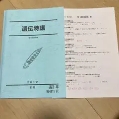【遺伝問題全て解けるようになる】【大森先生】駿台2024 遺伝特講＋講義プリ付き m38874877262_1.jpg?1743482071