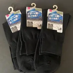 Item thumbnail for item ae358175-883d-4775-bc5b-9438779d4d80