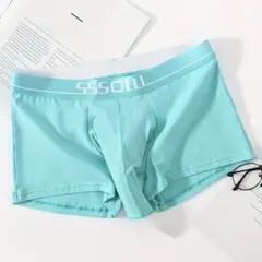 竿だし パンツ トランクス ブリーフ XL ブルー グリーン