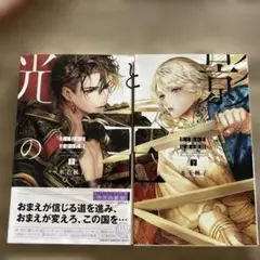 光と影の王 上下 水壬楓子