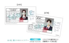 あの夏、僕たちが好きだったソナへ 期間限定　入場特典 受験票カード ダヒョン