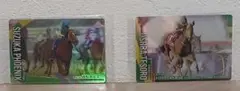 サラブレッドホースコレクション　ウシュバテソーロ&スズカフェニックス　サイン入り