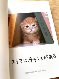 人生はニャンとかなる! 明日に幸福を招く68の方法　 著者 水野敬也+長沼直樹