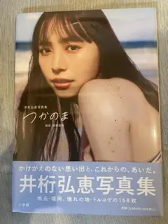 井桁弘恵写真集
