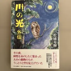 川の光 外伝