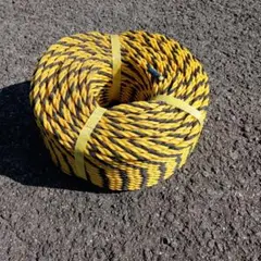 Item thumbnail for item 3eab2062-318f-45a0-829f-ce39b4b0fed5