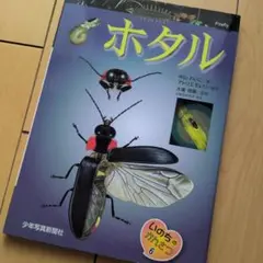【美品】ホタル いのちのかたち 6