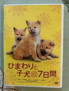 ひまわりと子犬の7日間　DVD 自宅保管品