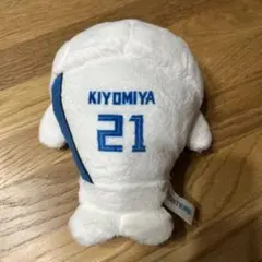 ◾️ファイターズ　エスコンフィールド　清宮幸太郎　アザラシ