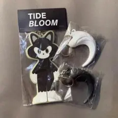 TIDE / Pillow IDE TATSUHIRO イデタツヒロ コレクション