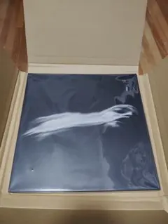 2025年最新】dir en grey 落ちた事のある空の人気アイテム