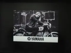 A4 額付き ポスター SR400 バイク 金髪 モデル 美女 キックスタート