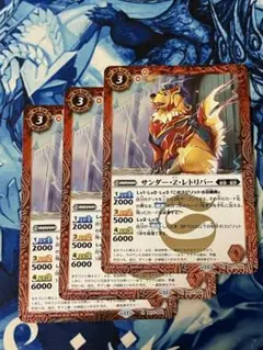 BS71 サンダー・Ｚ・レトリバー 赤 3枚