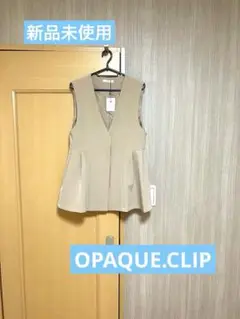 ベージュ Vネック フレアベスト