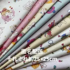 限定大セール！水森亜土ちゃん　生地　ハギレ10枚セット　アソート　レトロ柄　花柄
