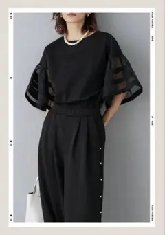 再入荷　オーガンジーラインスリーブトップス　frene