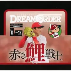 ドリームオーダー 拡張パック 広島東洋カープ 赤き鯉戦士 新品未開封1BOX