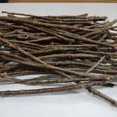 Item thumbnail for item 96e6c768-f4fb-4478-a664-be4c7f6f907e