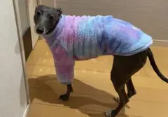 Item thumbnail for item 4a3184af-9a8a-42bf-b928-942a9a59e8d9