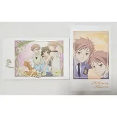 キャラポトレ 光 馨 ハルヒ