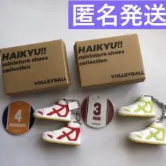 西谷夕& 夜久衛輔 ハイキュー‼︎ ミニチュアシューズコレクション