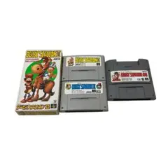 動作確認　SFC スーパーファミコン　ソフト　競馬　ダービースタリオン　ダビスタ