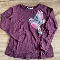 H&M ワインレッド 長袖シャツ 122/128